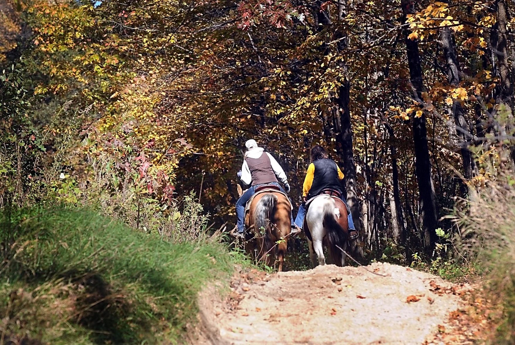 Ask Us: Seven Mile Creek trail work a mistake that's been corrected - Vimarsana News