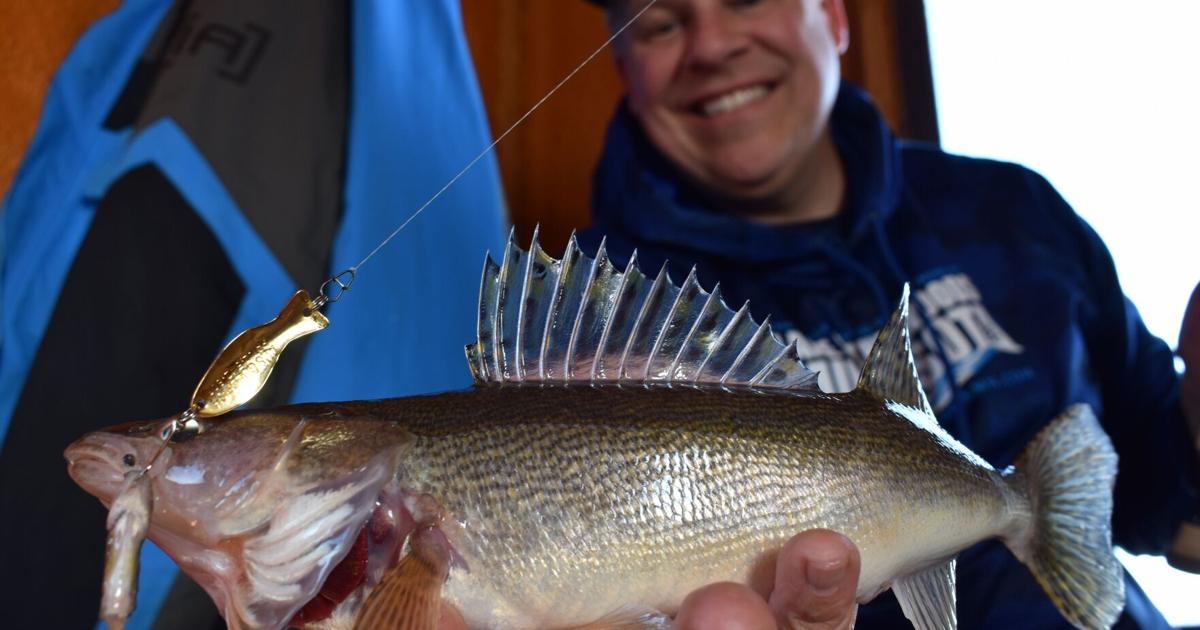 Mackenthun: Al's Goldfish lures becoming more popular | Local Sports | mankatofreepress.com Mackenthun: Al's Goldfish lures becoming more popular | Local Sports | mankatofreepress.com