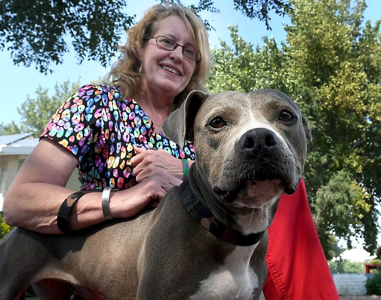 BENCHS needs more foster parents for hurricanedisplaced pets Local