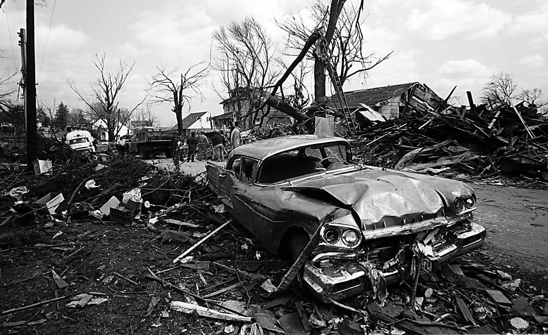 ●TRAGEDIE Tepid Peppermint Wonderland: Retrospective: Brian Jonestown