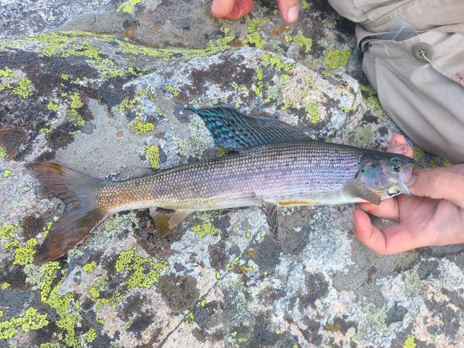 Mackenthun: Quick fishing trip is nice break from heat of ...