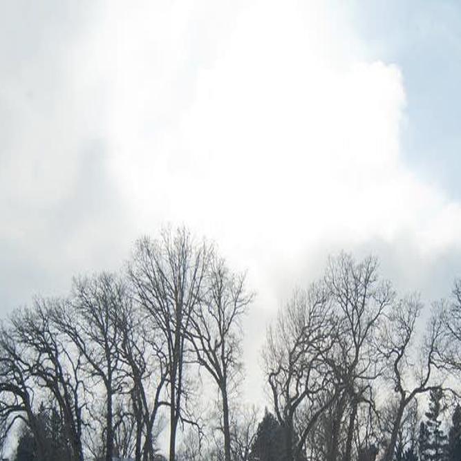 Report Minnesota Top In Nation For Snowmobile Theft Local News