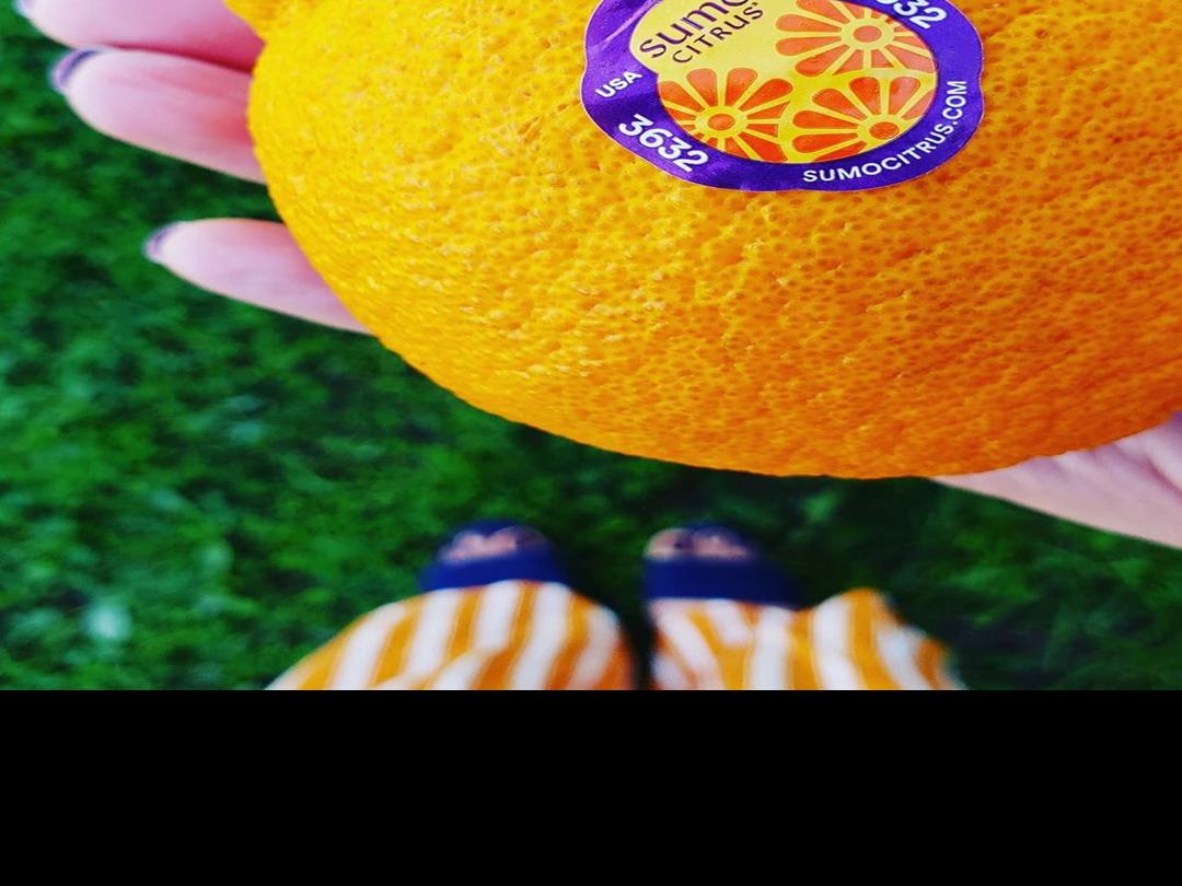 Do Sumo citrus mandarins deserve the hype?