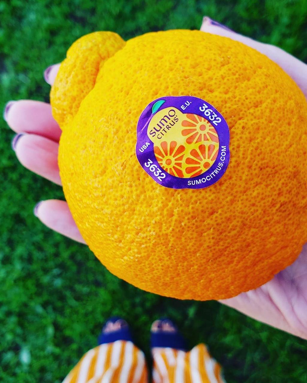 What Is a Sumo Orange—And Should You Be Eating Them?