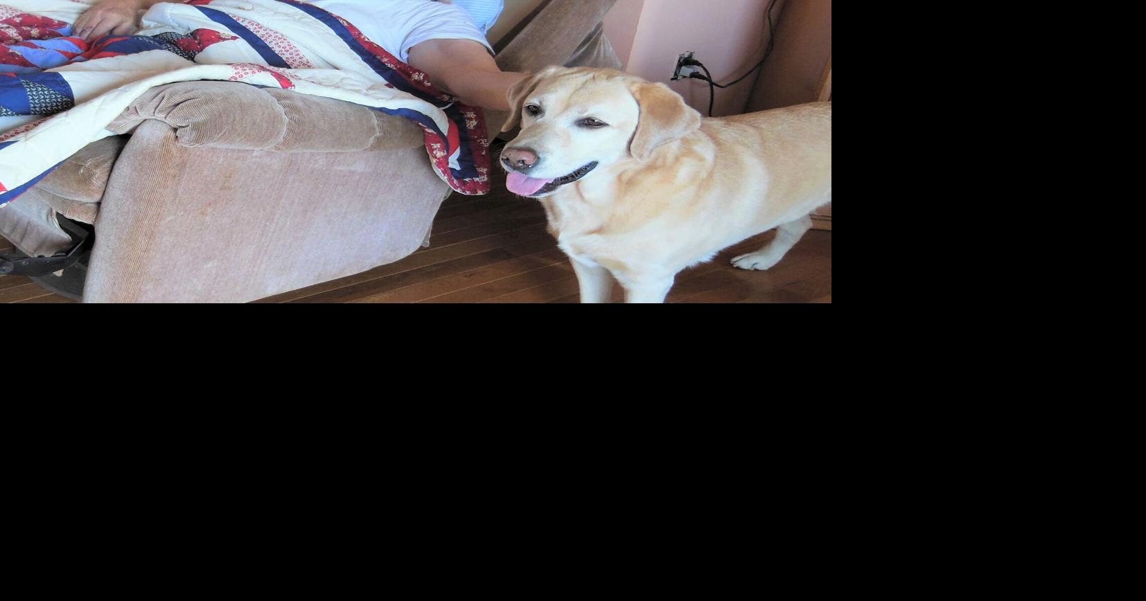 Metal sculptor Arnie Lillo dies Local News