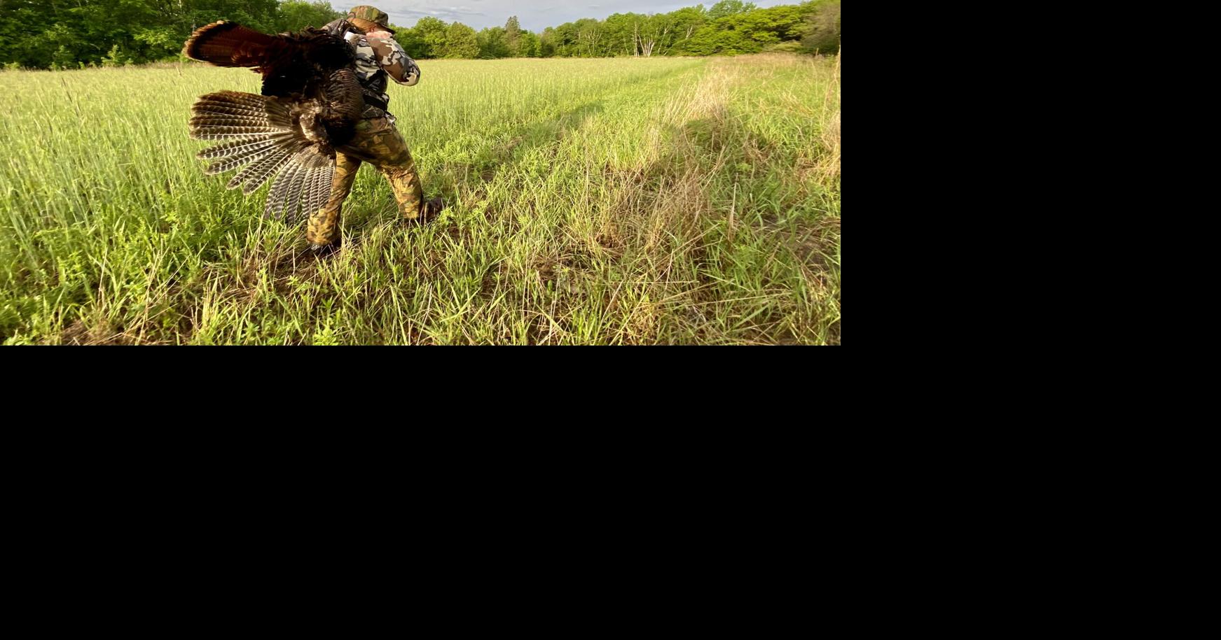 Turkey hunting raises more questions than answers