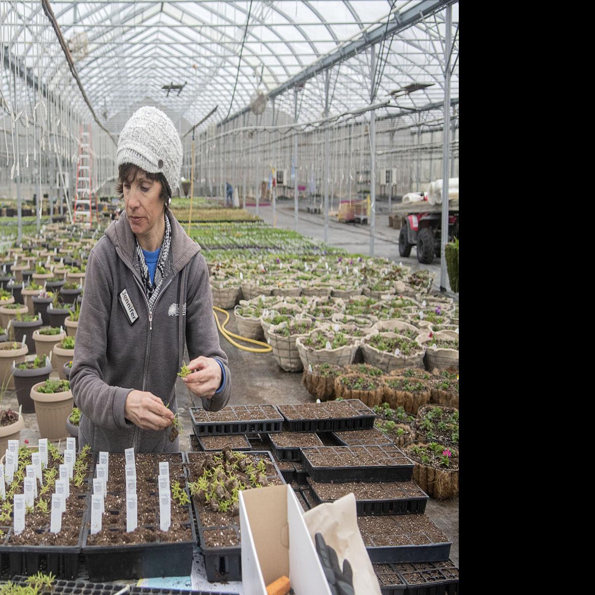 Uprooted Garden Center Sales On Hold This Spring Due To Covid 19