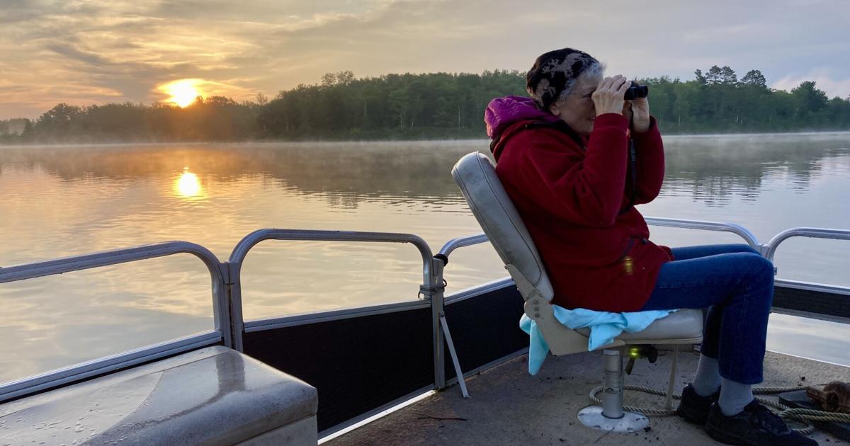 Understanding the ways of the rare loon