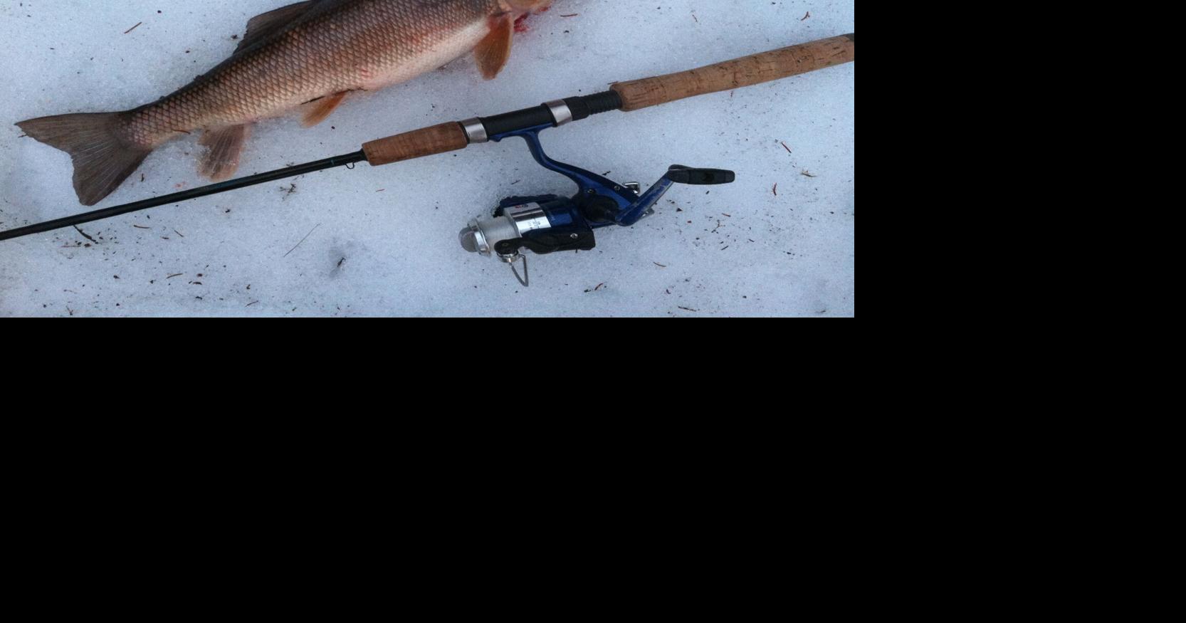 Heilman: Native fish species getting bad rap from state's anglers ...