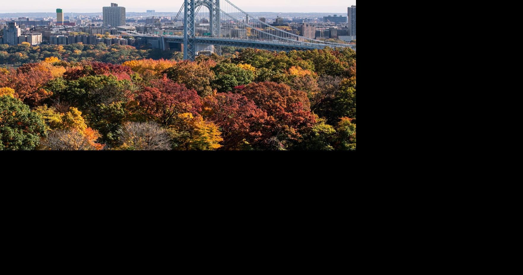 Retired NYPD detective arrested in road rage killing on George ...