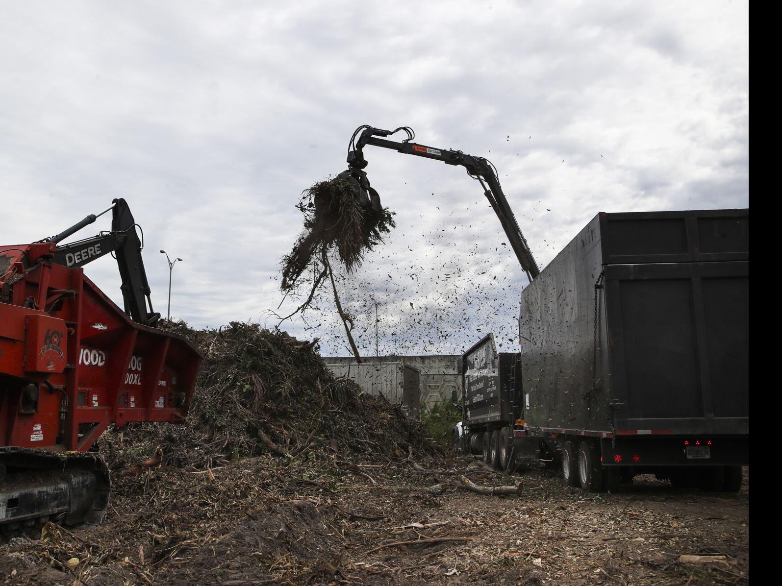 Hurricane Ian's debris stirs up pests increase in Florida ...