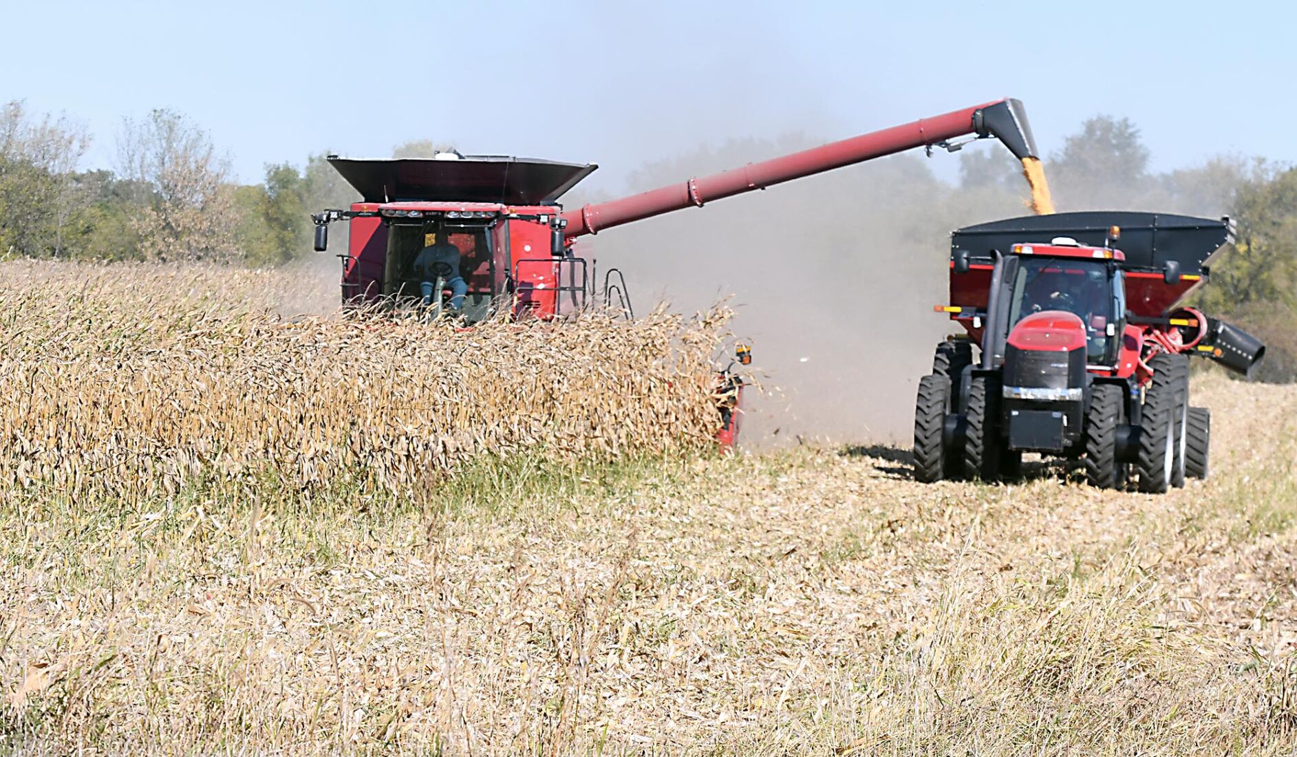 farmers may escape depressed yields