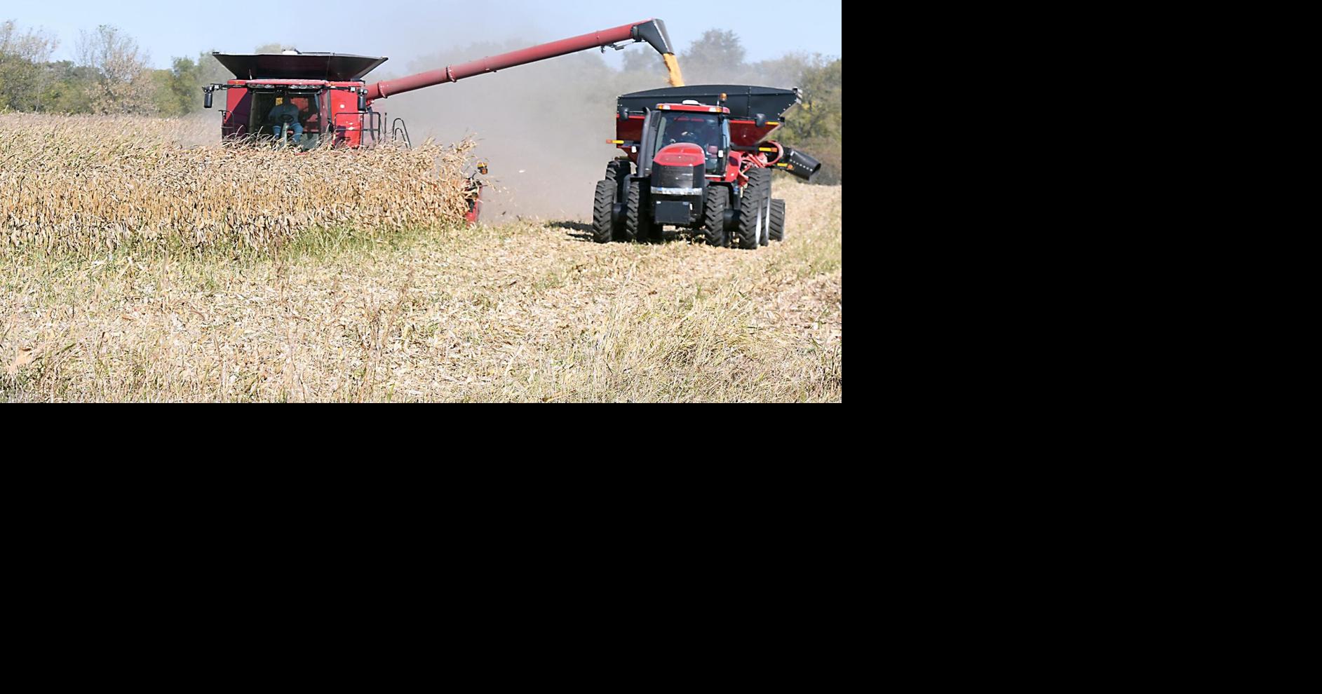 Harvest begins early; area farmers may escape depressed yields | Local ...