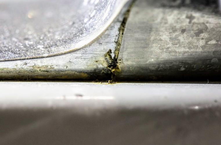 The last hurrah Gustavus art seniors navigate senior show in time of COVID19 Lifestyles