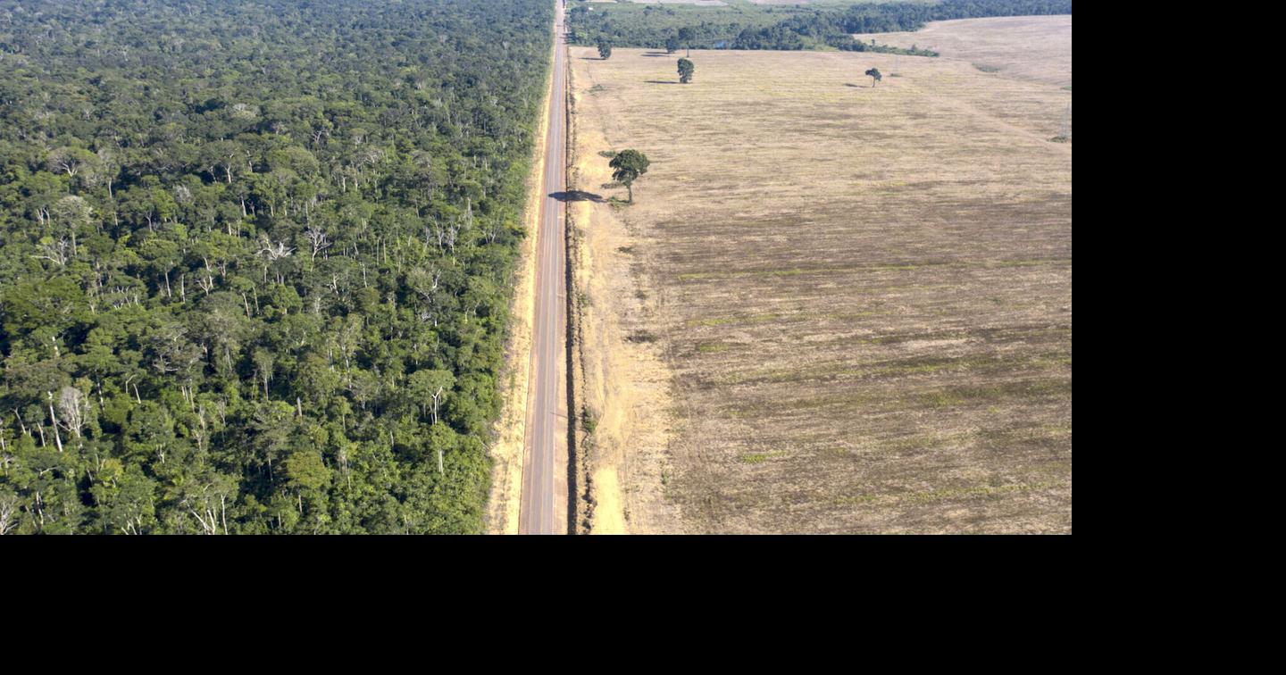 Weighing the effects of Brazil’s soy moratorium fight