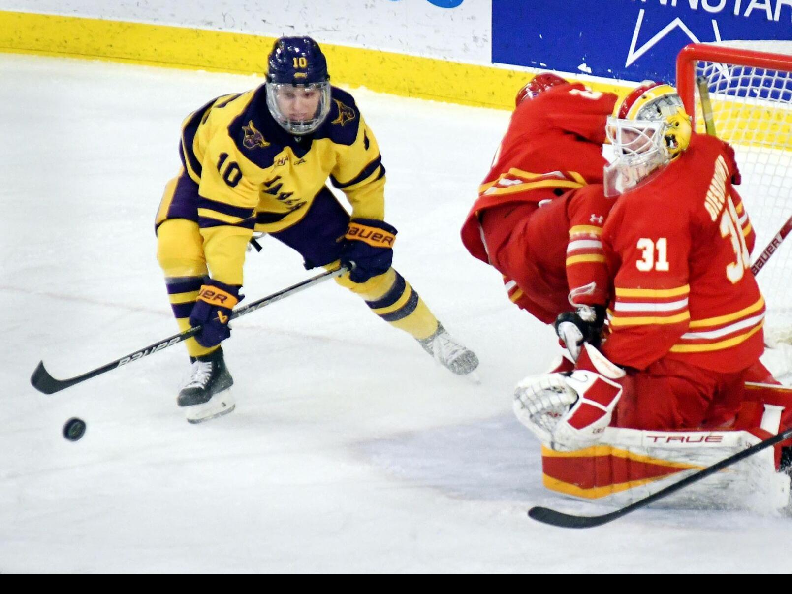 Multiple MSU hockey players enter transfer portal | Local Sports |  mankatofreepress.com