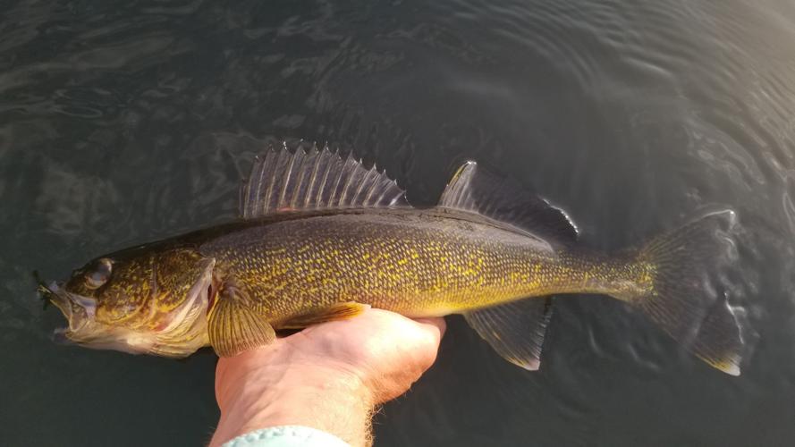 Get loud to catch more walleyes