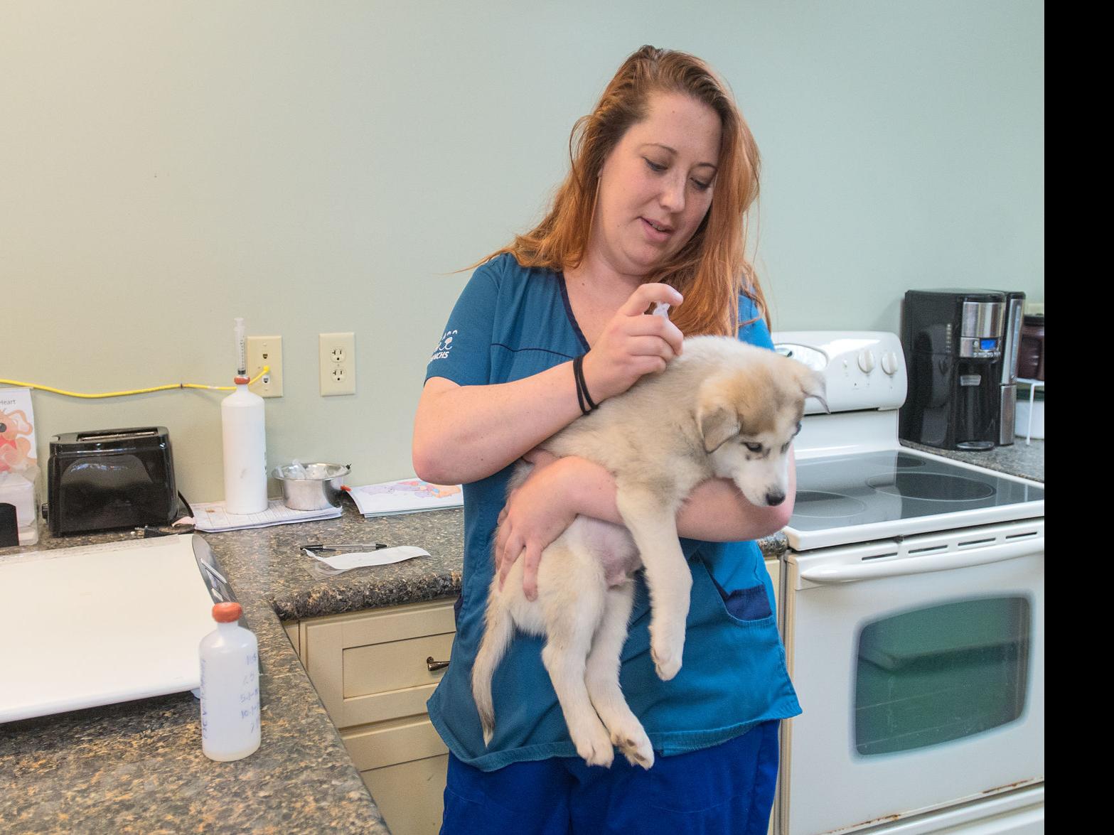 Meet Terri The Crazy Dog Cat Lady Departments