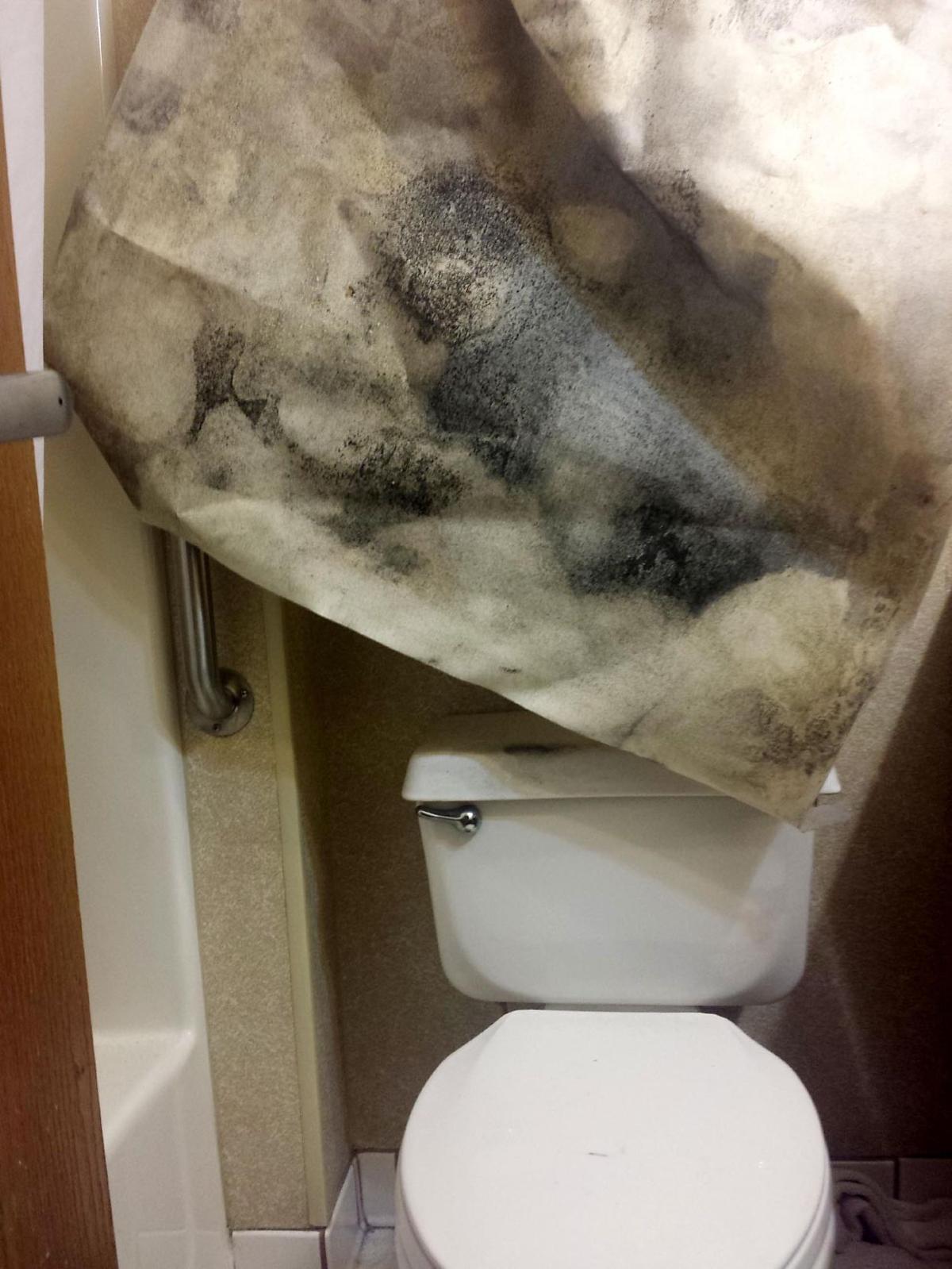 health department deal with hotel mold