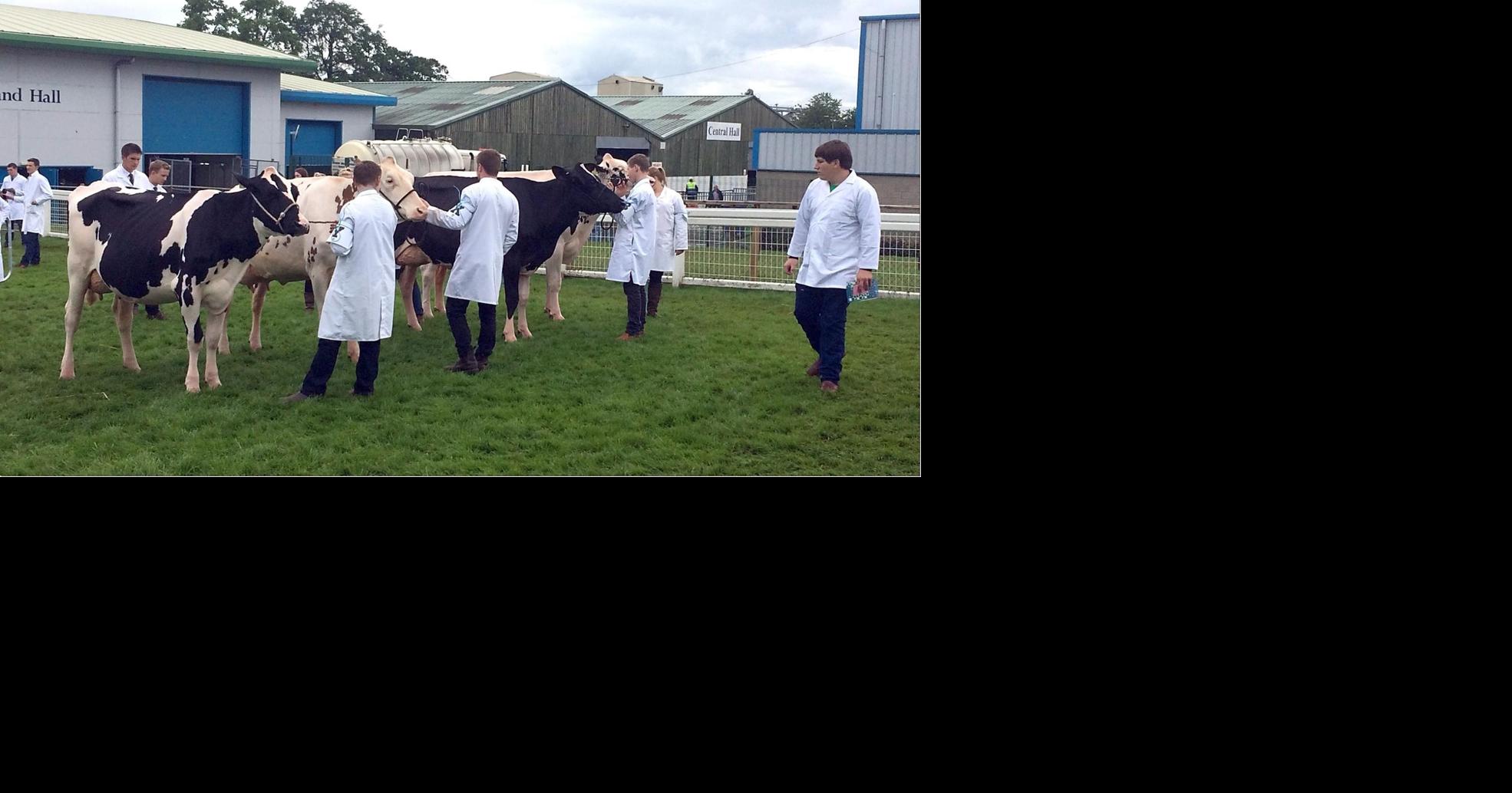 Champion FFA cattle judges win again, in Europe | Local News ...