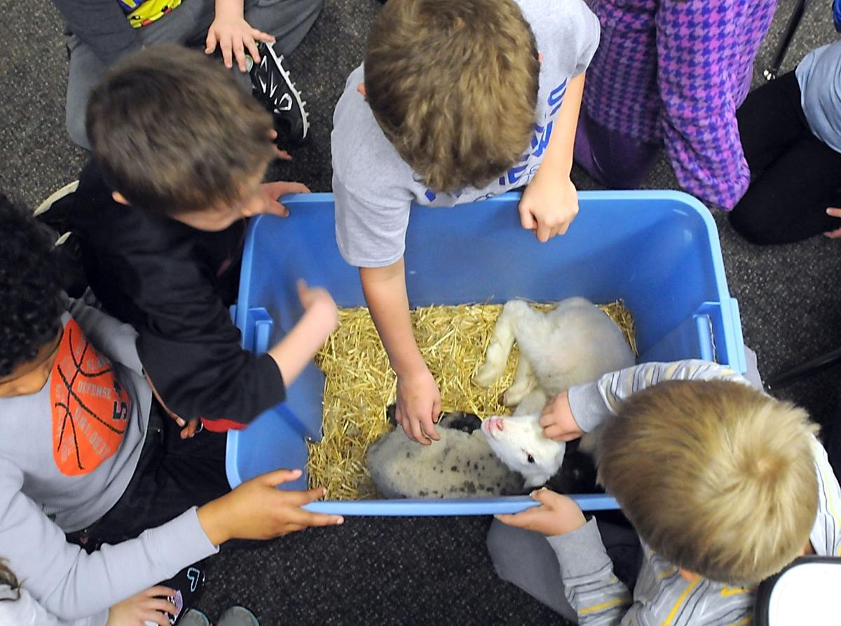 Agriculture comes to classroom for 25th year | Local News ...
