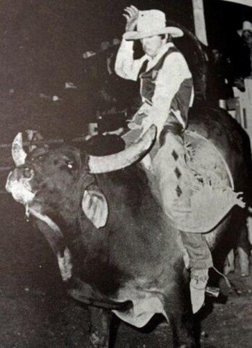 Madelia's rodeo featured turkeys, bison, competitions | Local ...