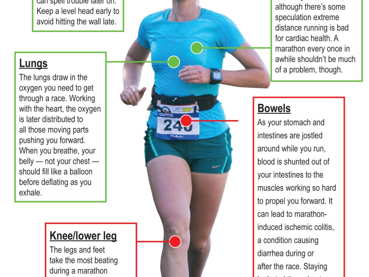 Why Running a Marathon is Good for You