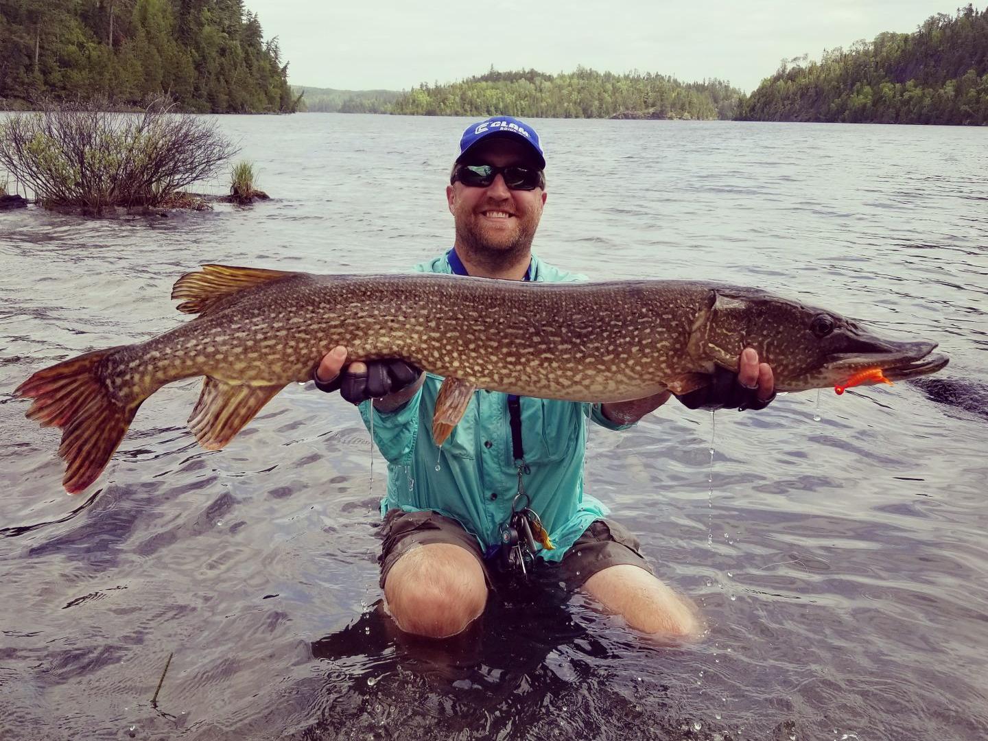 Mn Walleye Slot Limit 2020 Mn Walleye Slot Limit 2020