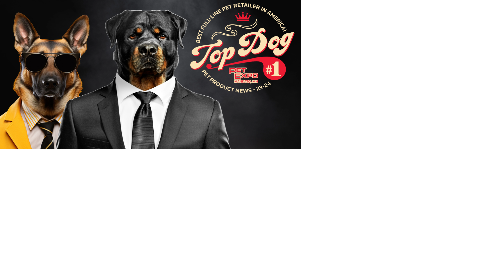 Top dog products 2019 hot sale