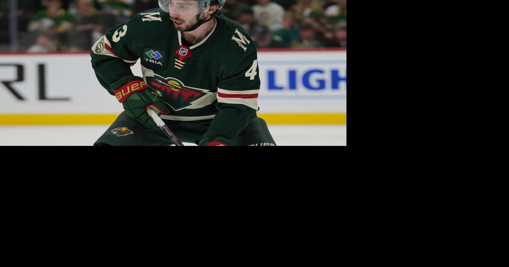 Wild-Quinn Hughes Hockey