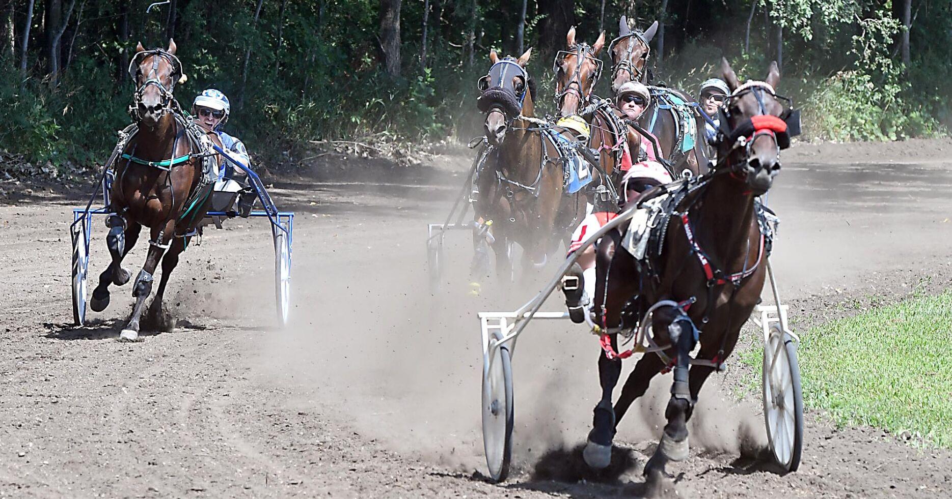 Area county fairs draw crowds with exhibits, food, fun - Vimarsana News