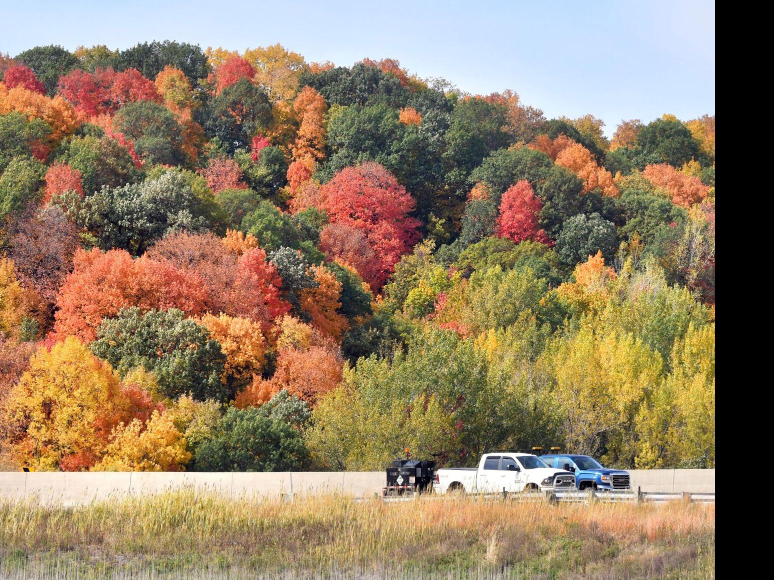 Robust fall color still lacking in Mankato area but now ...