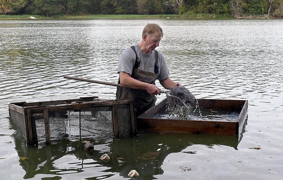 Area minnow trappers face a variety of challenges News