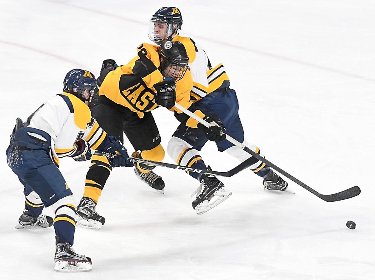 Mankato East/Loyola falls in state hockey opener Sports