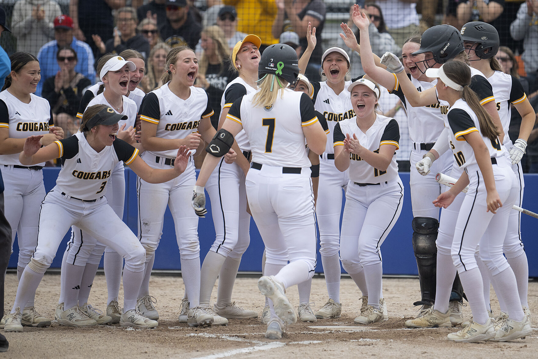 Mankato East Softball Dominates Section Finals Led by Stangl’s One-Hitter