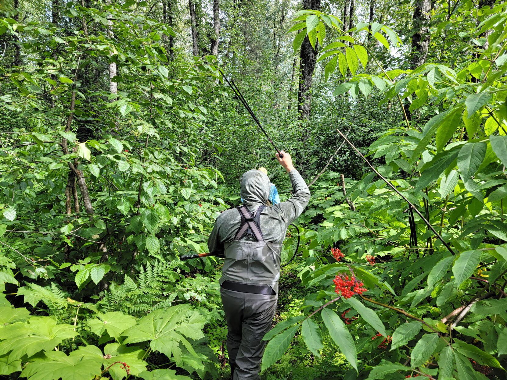 Mackenthun: Alaskan stream yields perfect conditions for ...