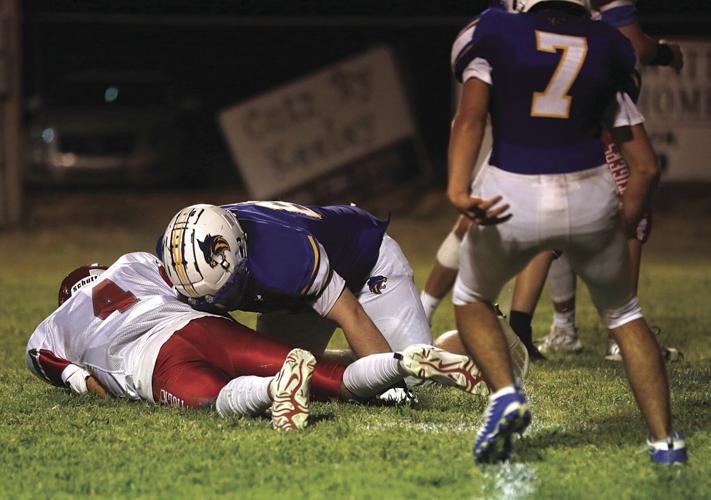 The Thrill & Agony Multimedia