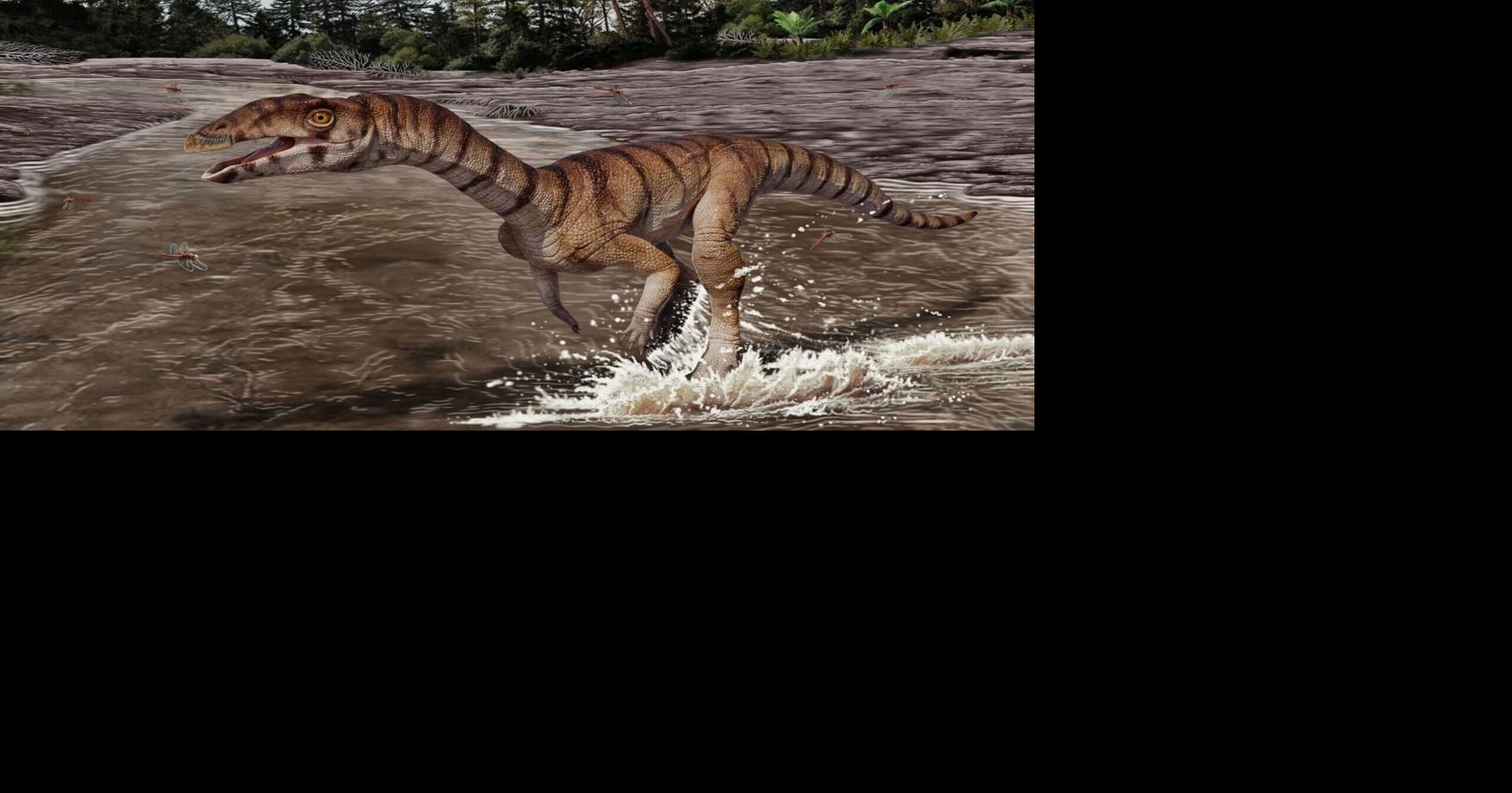 Scientists discover toothless croc ancestor that walked like ostrich