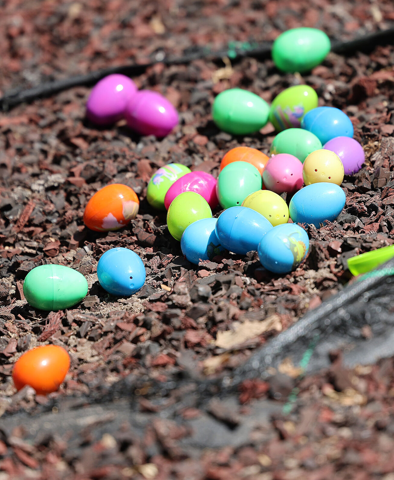 Egg hunt set for Saturday | News | marysvilleonline.net