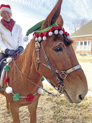 Mount up! Free mule rides for kids | Family Living | marysvilleonline.net