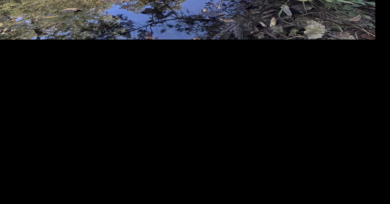 Lake Idlewild trails now open; event next Sunday