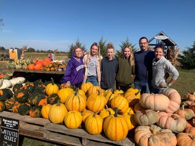 Fall at the Farm: Pumpkins Galore! — Chateau Sonoma