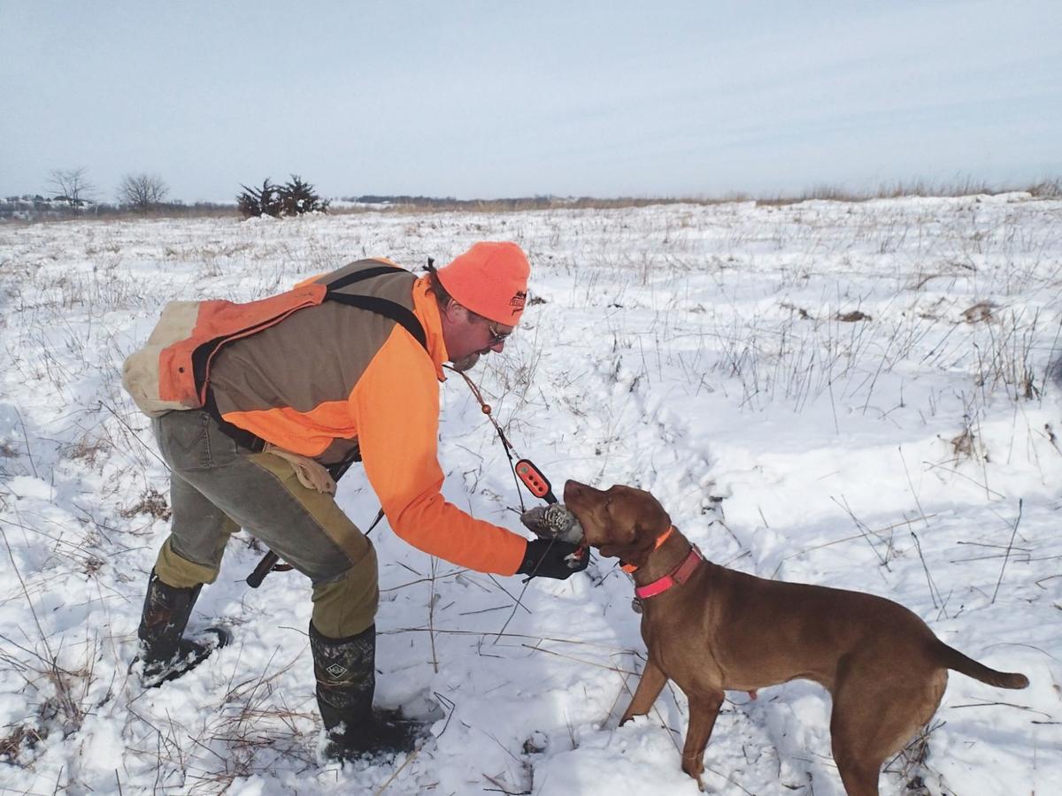 Guns Dogs Make For Bang Up Weekend At Lake News Maryville