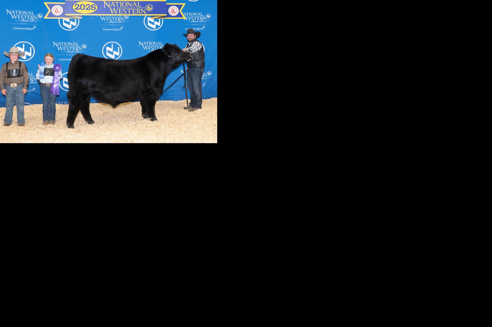 Thummel shows bulls in Colorado | News | Maryville Forum