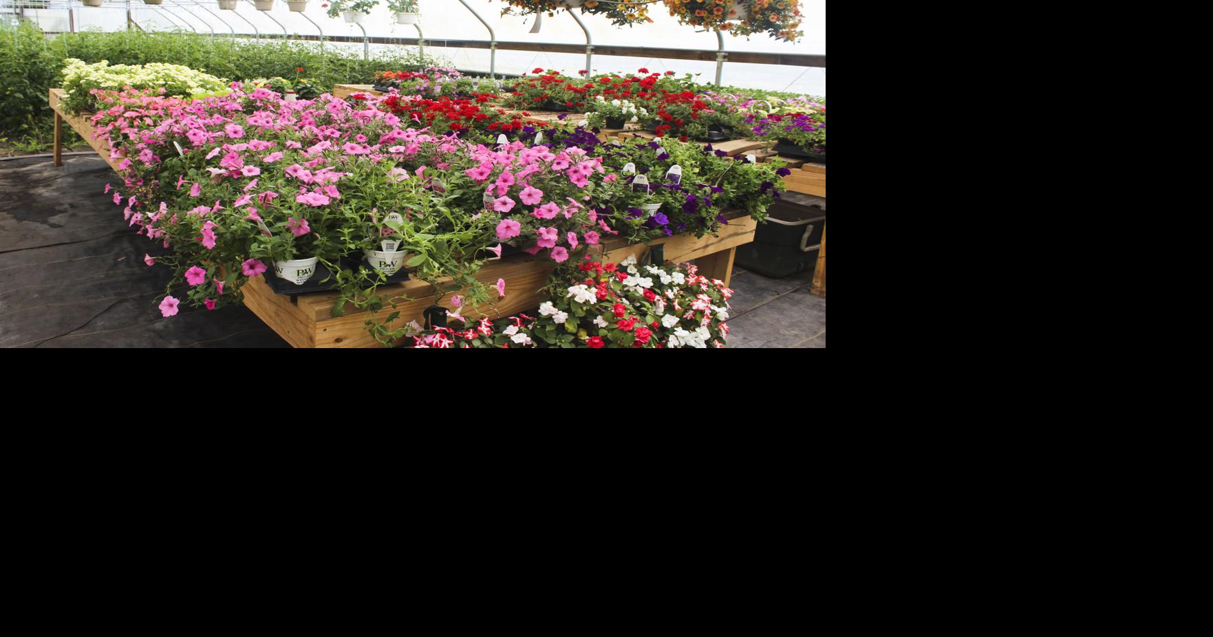 Sommers producing produce for Farmer’s Markets Community Maryville