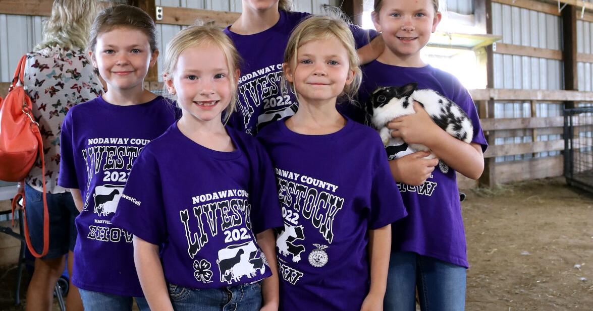 GALLERY: Nodaway County 4-H/FFA Rabbit Show | | Maryville Forum