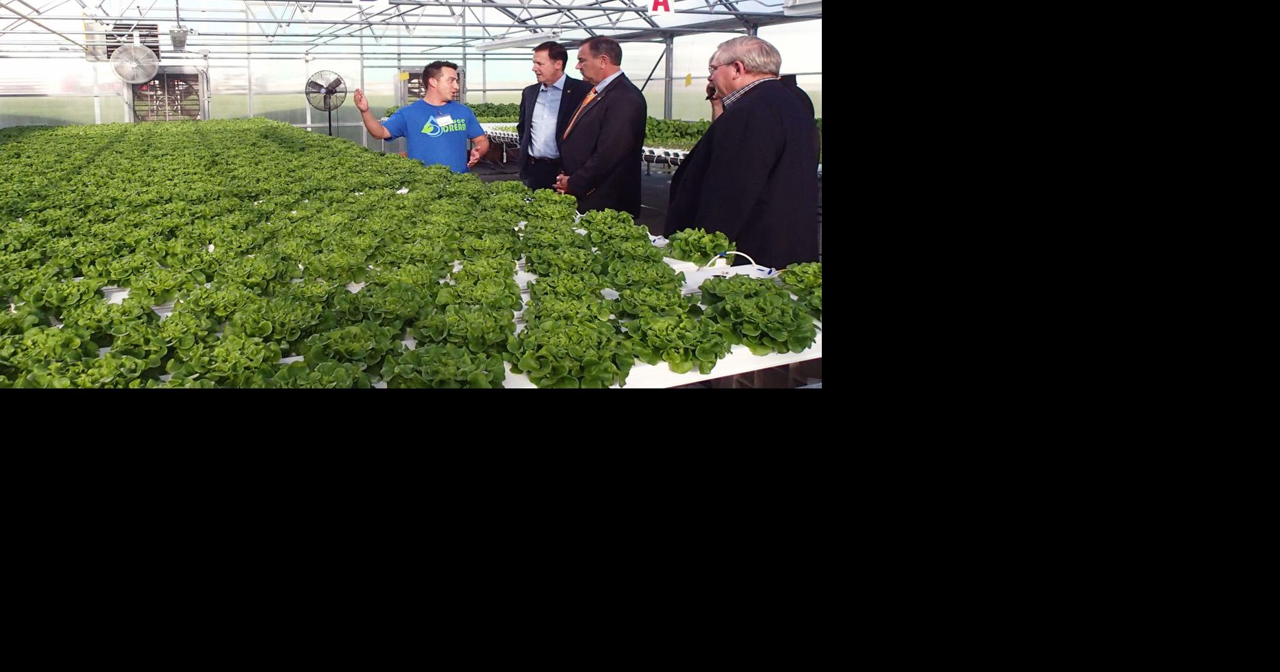 Lettuce Dream plants a seed with state's Lt. Gov. Business