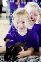 Youths show rabbits at the Nodaway County 4-H/FFA Livestock Show