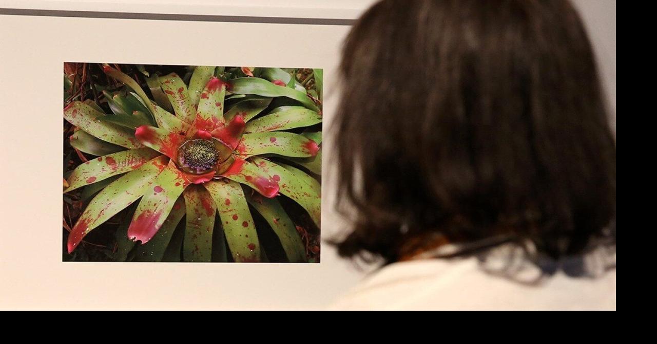 Oscar-winner Steve McQueen on the flowers that outlived empire