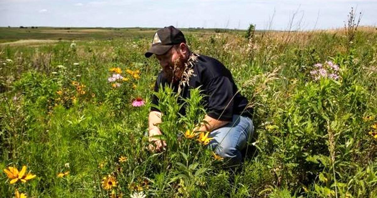 MDC restoring wildlife-friendly native grassland habitat at the Bilby Ranch - Vimarsana News